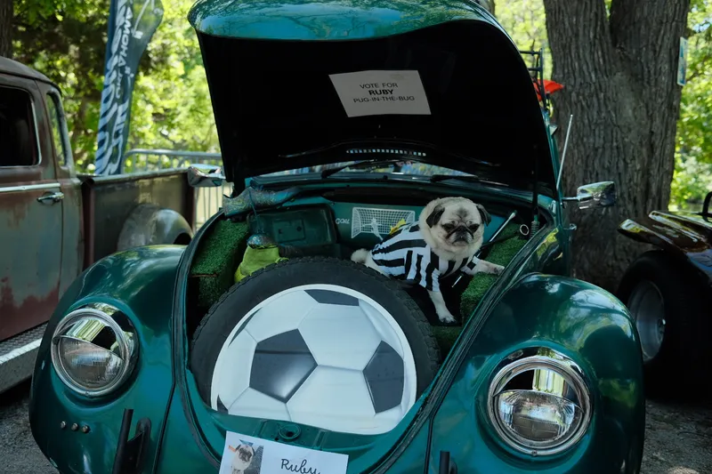 Glovebox Gallery Photograph